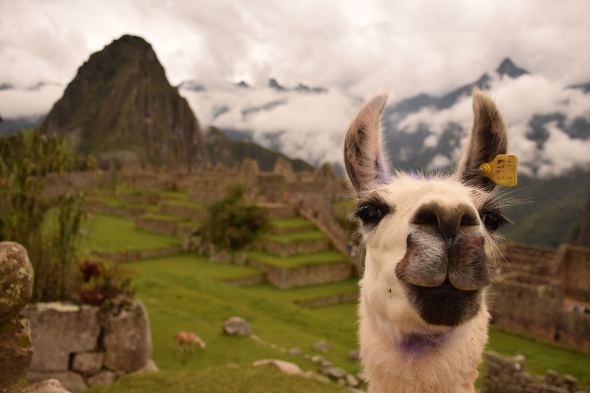 Machu Picchu